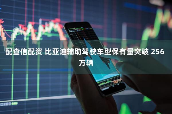 配查信配资 比亚迪辅助驾驶车型保有量突破 256 万辆